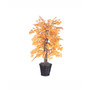 4' Golden Aspen Bush Comes Fixed In A Dark Brown, Circular Rattan Container