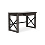 Freedan Home Office Desk