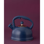 Otto Stove Top Kettle, 7.08"
