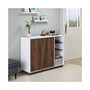 Vega Modern Shoe Cabinet