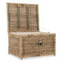 JONATHAN Y Caden 30'' Wicker Storage Trunk