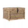 JONATHAN Y Caden 30'' Wicker Storage Trunk