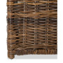 JONATHAN Y Caden 30'' Wicker Storage Trunk