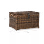 JONATHAN Y Caden 30'' Wicker Storage Trunk