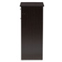 Dariell Shoe Cabinet