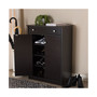 Dariell Shoe Cabinet