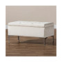 Mabel Modern and Contemporary Transitional Velvet Fabric Upholstered Storage Ottoman