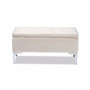 Mabel Modern and Contemporary Transitional Velvet Fabric Upholstered Storage Ottoman