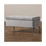 Mabel Modern and Contemporary Transitional Velvet Fabric Upholstered Storage Ottoman