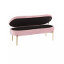 Chloe Contemporary Glam Storage Bench