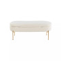 Chloe Contemporary Glam Storage Bench
