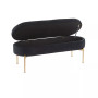Chloe Contemporary Glam Storage Bench