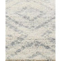Adirondack Ivory and Light Blue 10' x 14' Area Rug