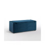 Fabroni Velvet Storage Bench