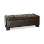 Jeevan Storage Bench