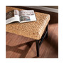 Water Hycinth Bench