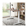 Electric Standing Desk with Dual Motor Height Adjustable Sit Stand Desk Computer Workstation with USB Charge " , White