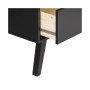 Milo Desk with Side Storage and 2 Drawers