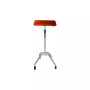 Hanie Laptop Cart Workpad with Adjustable Height