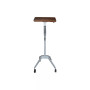 Hanie Laptop Cart Workpad with Adjustable Height