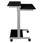 24" Stand Up Presentation Station Desk