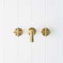 Sydney Wall Spout + Cross Taps Brushed Brass
