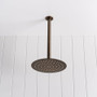 Ceiling Shower Arm and Head Antique Brass