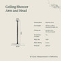Ceiling Shower Arm and Head Antique Brass
