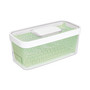 GreenSaver 5-Qt. Produce Keeper