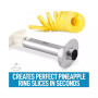 1 Piece Stainless Steel Pineapple Corer and Slicer Tool