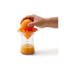 Citrus Juicester