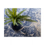 Agostina Ago4 2' 2" x 6' Runner Area Rug