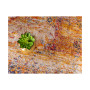 Agostina Ago4 2' 2" x 6' Runner Area Rug