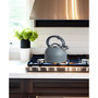 1.9 Litre Whistling Tea Kettle