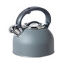 1.9 Litre Whistling Tea Kettle