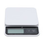 Redmon Precision Kitchen Scale