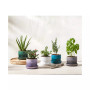 Enameled Stoneware Herb Planter with Base