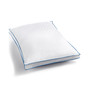 Winston Extra Firm Density Pillow, Standard/Queen