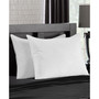 2 Pack Superior Comfort Down Alternative Pillows, Standard