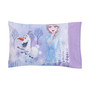 Frozen 4-Piece Toddler Bedding Set