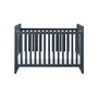 Frances 2-in-1 Convertible Crib