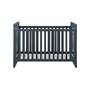 Frances 2-in-1 Convertible Crib