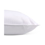 White 2-Pack Pillow, European, Created for Macy's