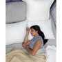 Fresh & Clean Ultra-Fresh Antimicrobial Pillows - Standard, 2-Pack