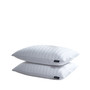 Softy-Around White Goose Feather & Down 500 Thread Count 2-Pack Pillow, Jumbo