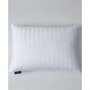Softy-Around White Goose Feather & Down 500 Thread Count 2-Pack Pillow, Jumbo