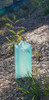 GEOmasta Corflute Tree Guard 200 x 450mm