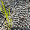 jute mesh bale 500gsm