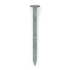 Clout Nails Galvanised 5kg 50x2.80 single view