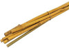 Bamboo canes